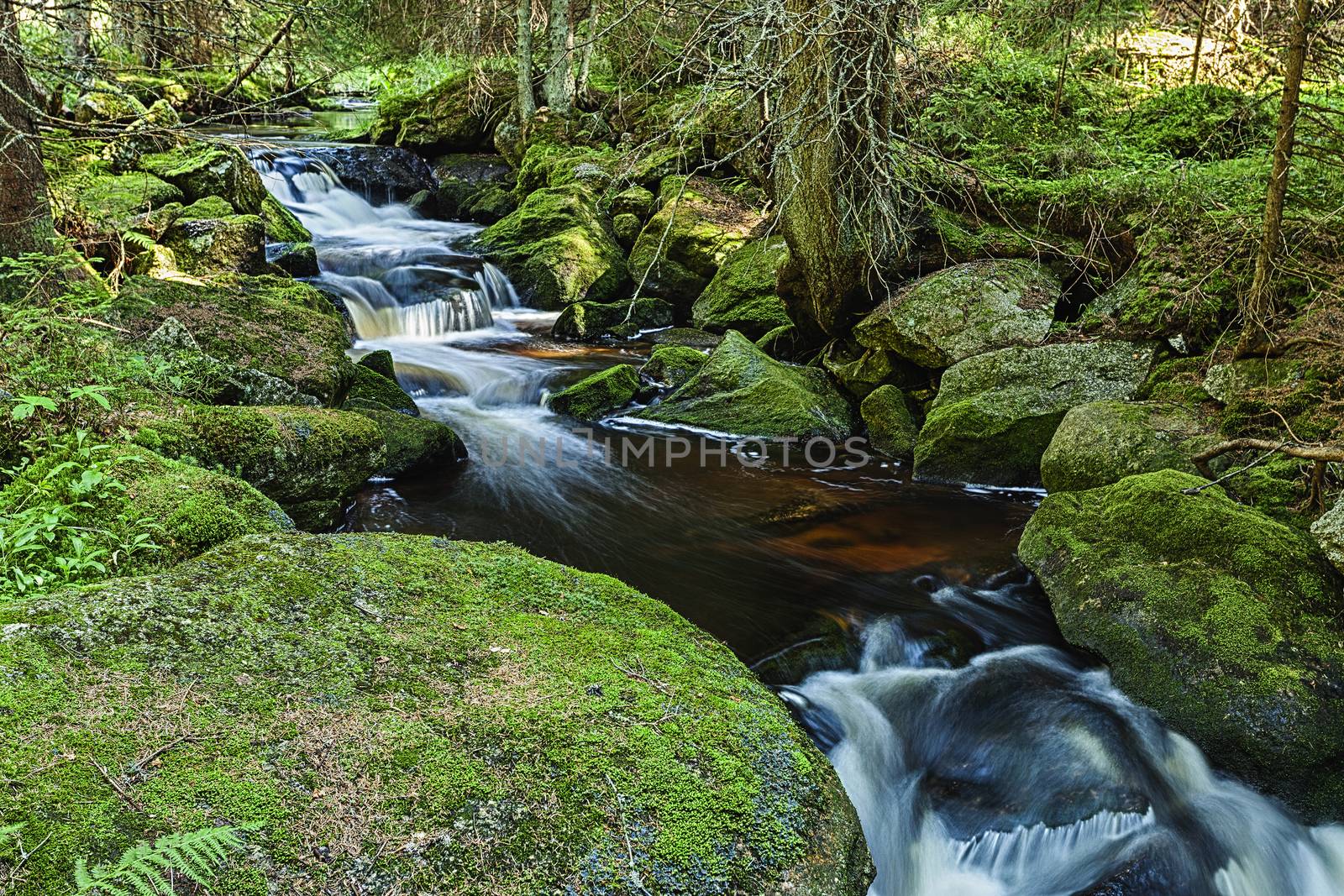 River runs over boulders in the primeval forest by hanusst