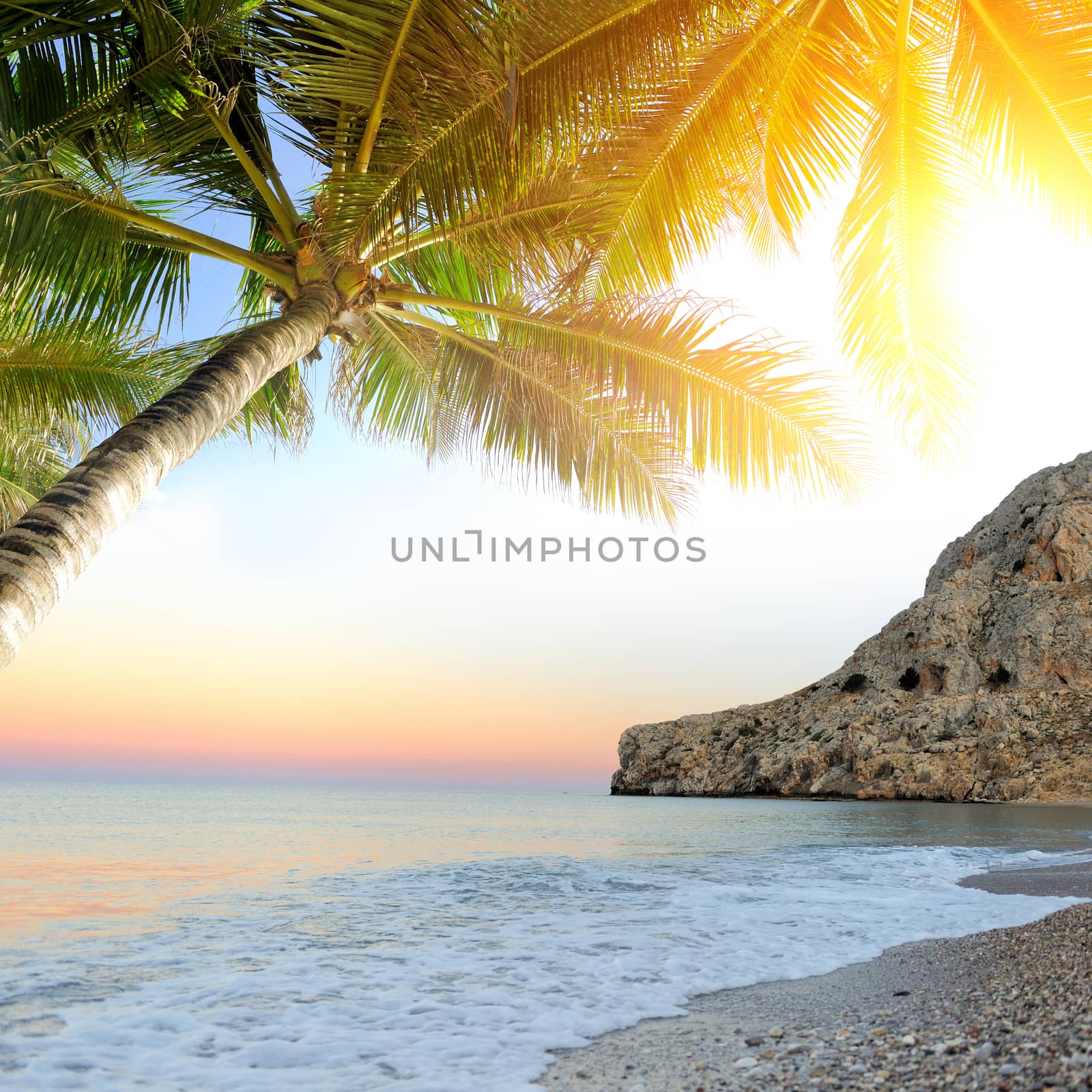 Tropical beach with palm tree by byrdyak