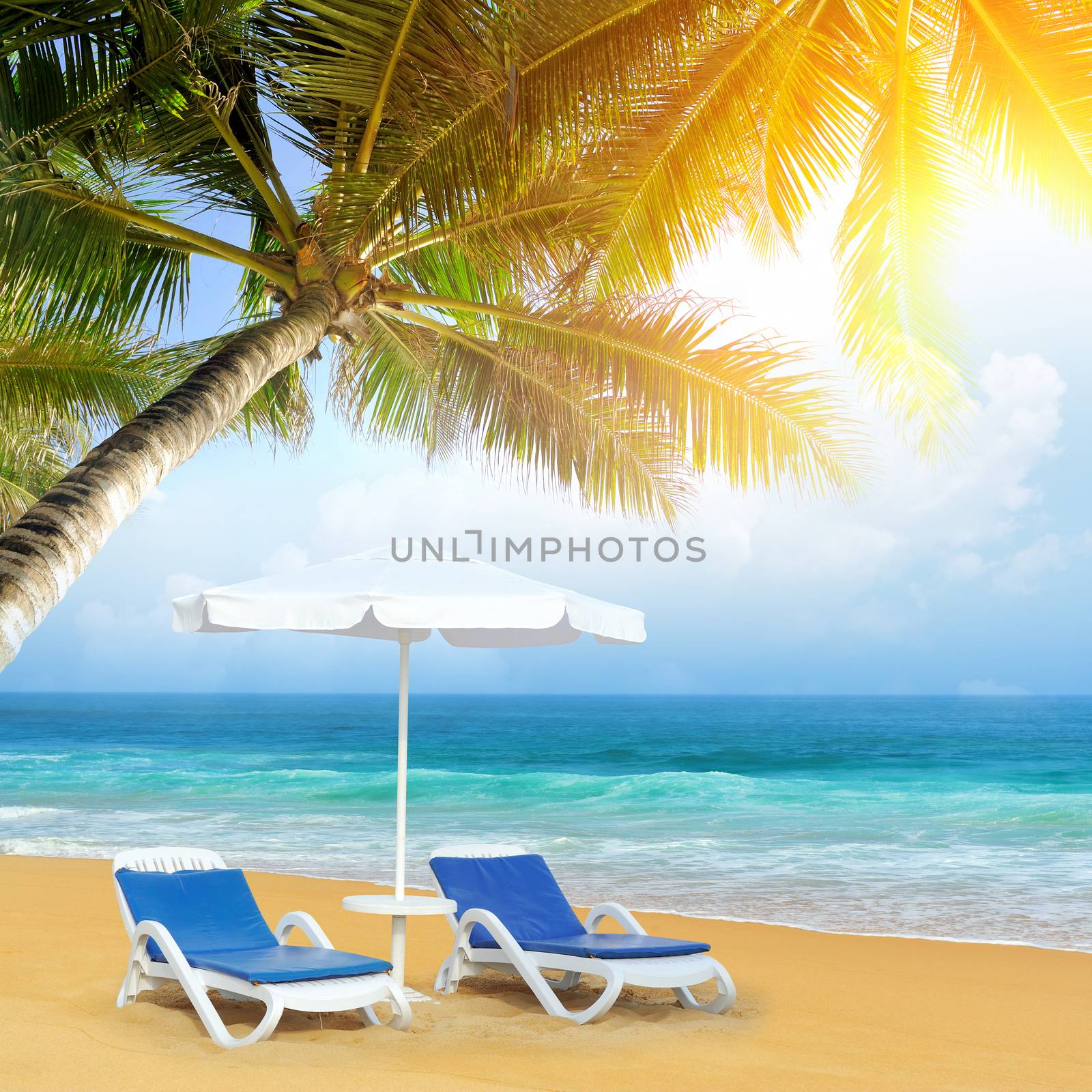 Tropical beach with palm tree by byrdyak