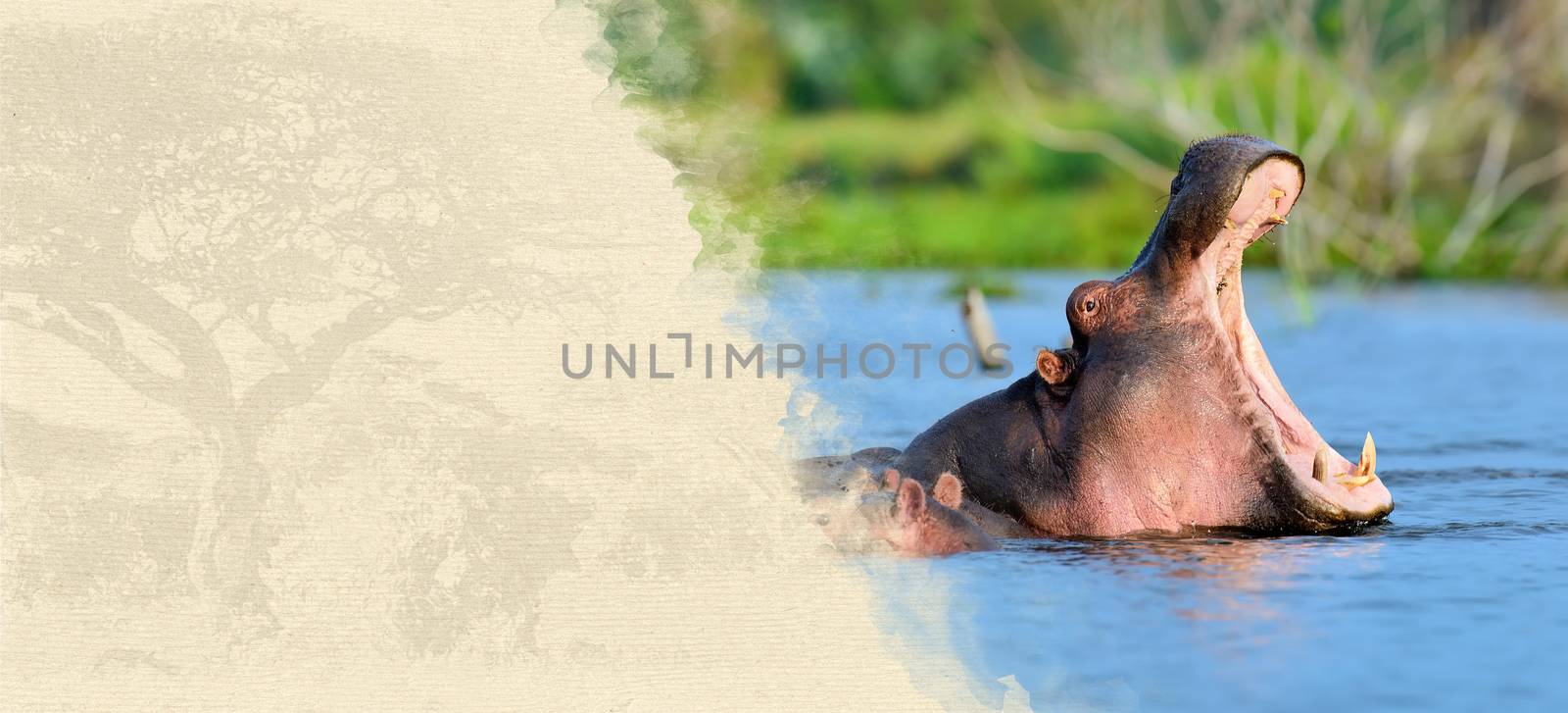 Hippo on textured paper. Animal on a background of old paper