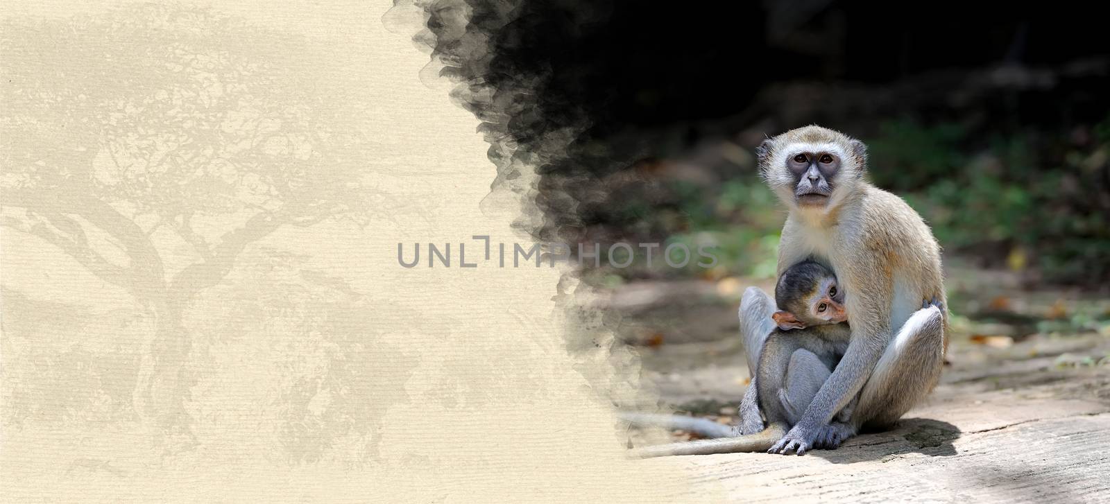 Monkey on textured paper. Animal on a background of old paper