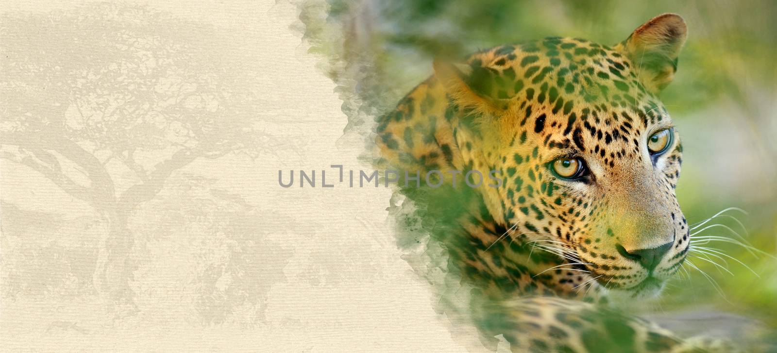 Leopard on textured paper by byrdyak