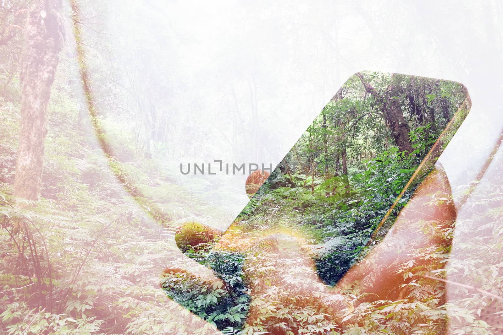 Digital composite using cell phone in forest