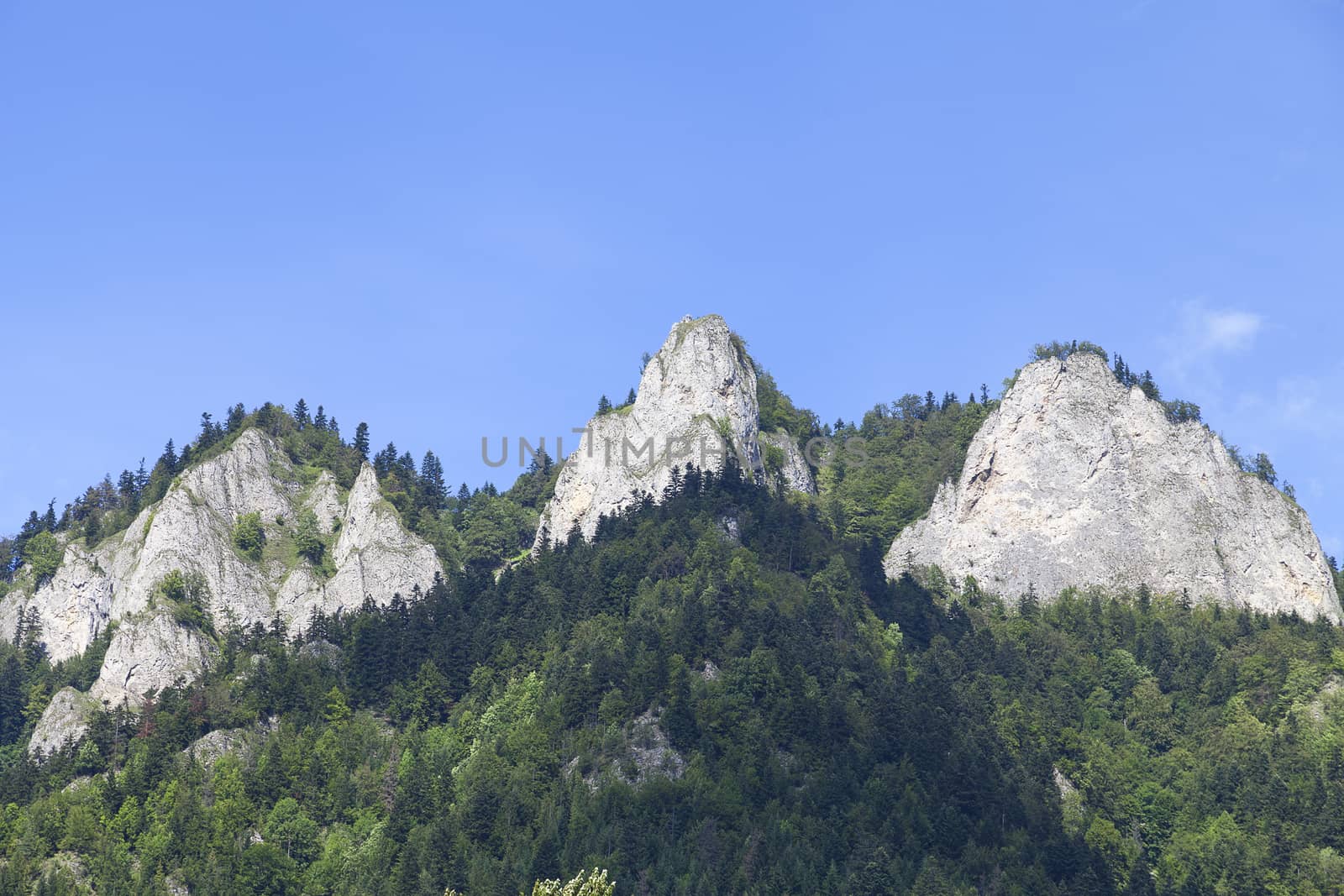 View on Three Crowns Massif in Pieniny Mountains in sunny day, Poland