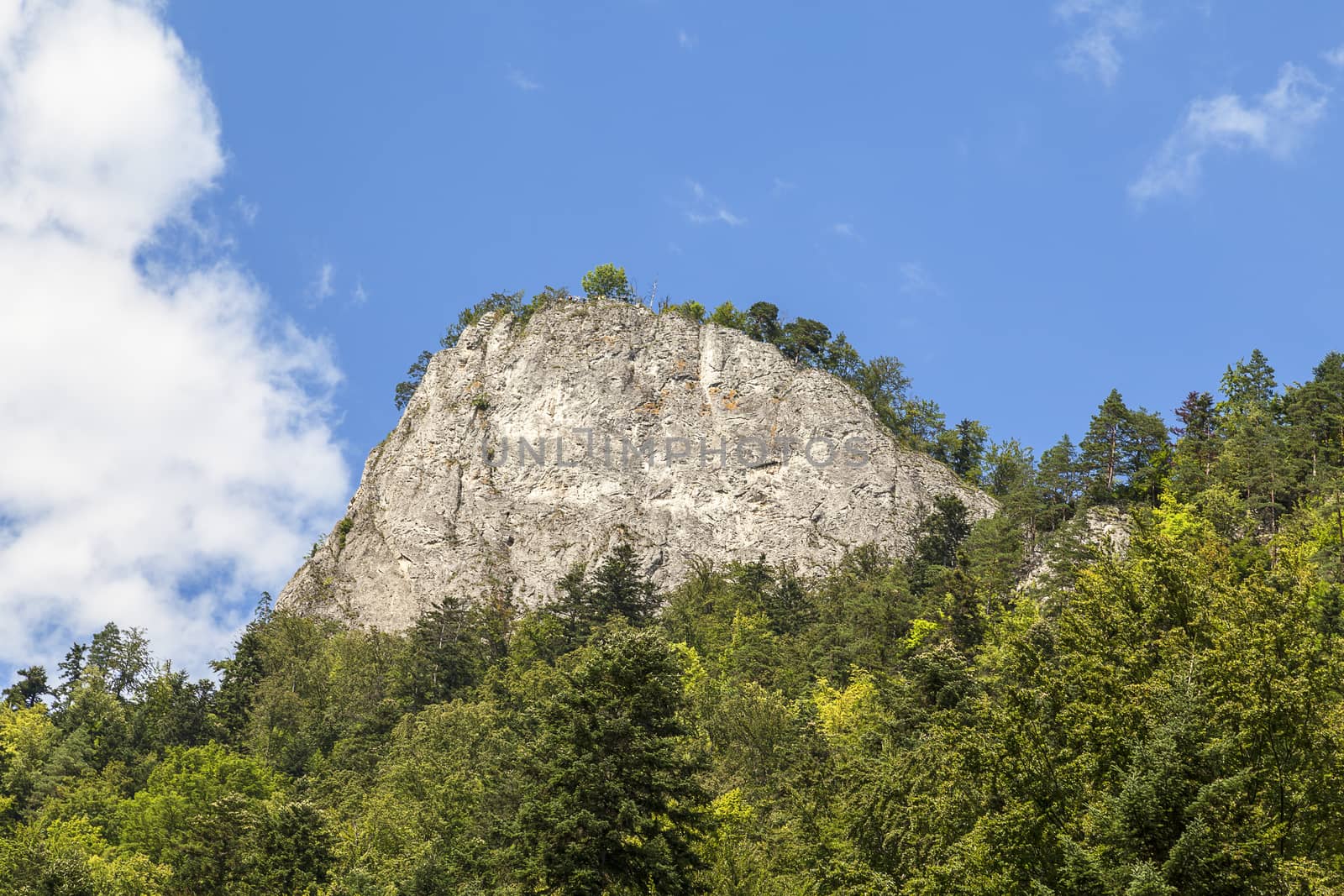 View on top Sokolica in  Pieniny Mountains from boat rafting, in sunny day, Poland