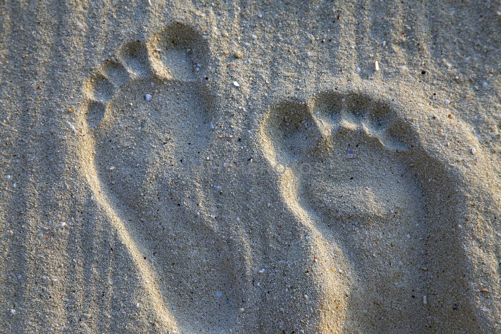 Prints of male legs on sand