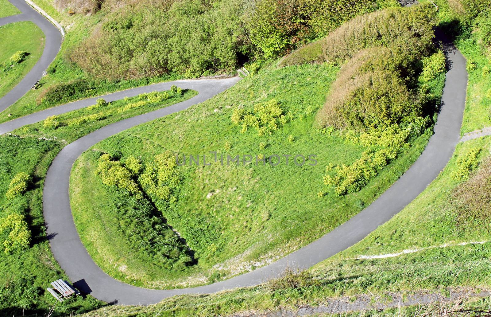 Overhead view of a winding path on a hillside.
