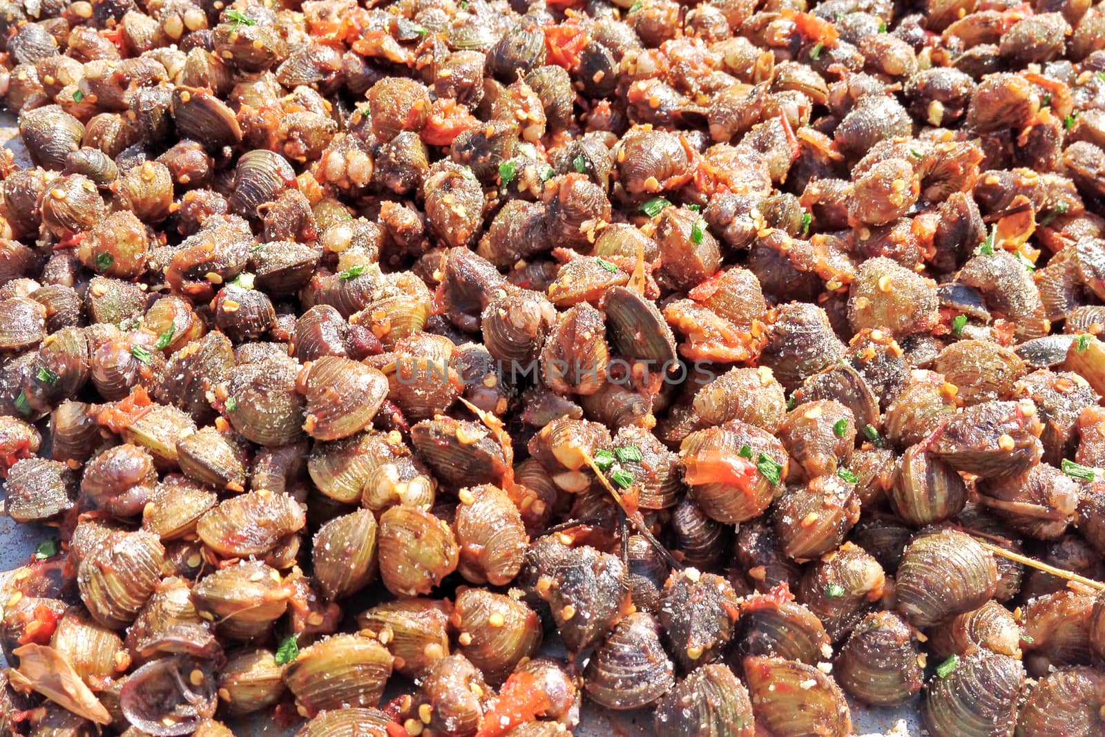 Spicy small shells for sale, local street food in Siem Reap Cambodia