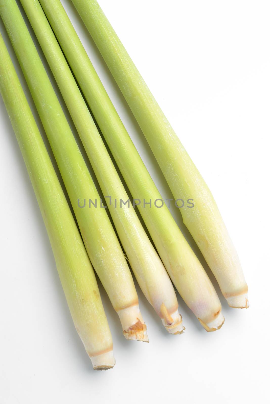 lemon grass on white background