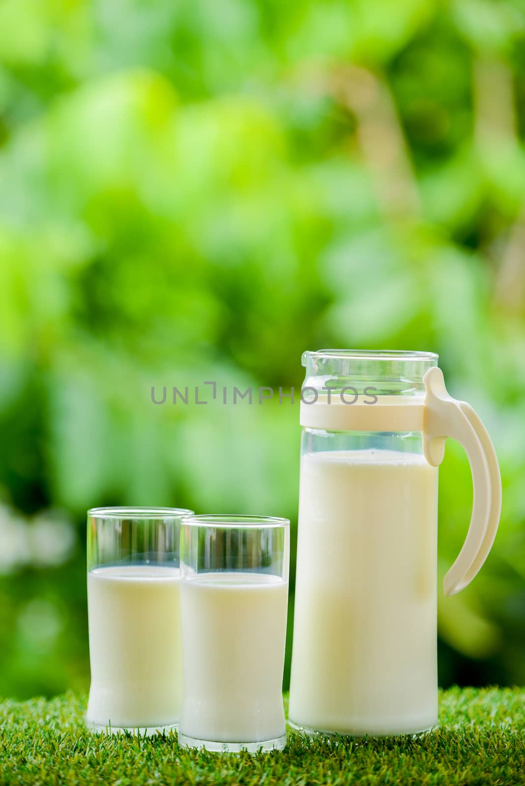 milk jug with glass on grass with nature background