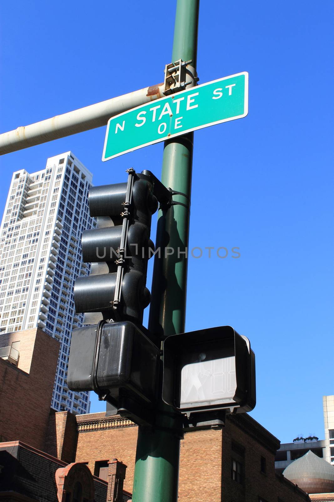 Chicago State Street sign and traffic light.