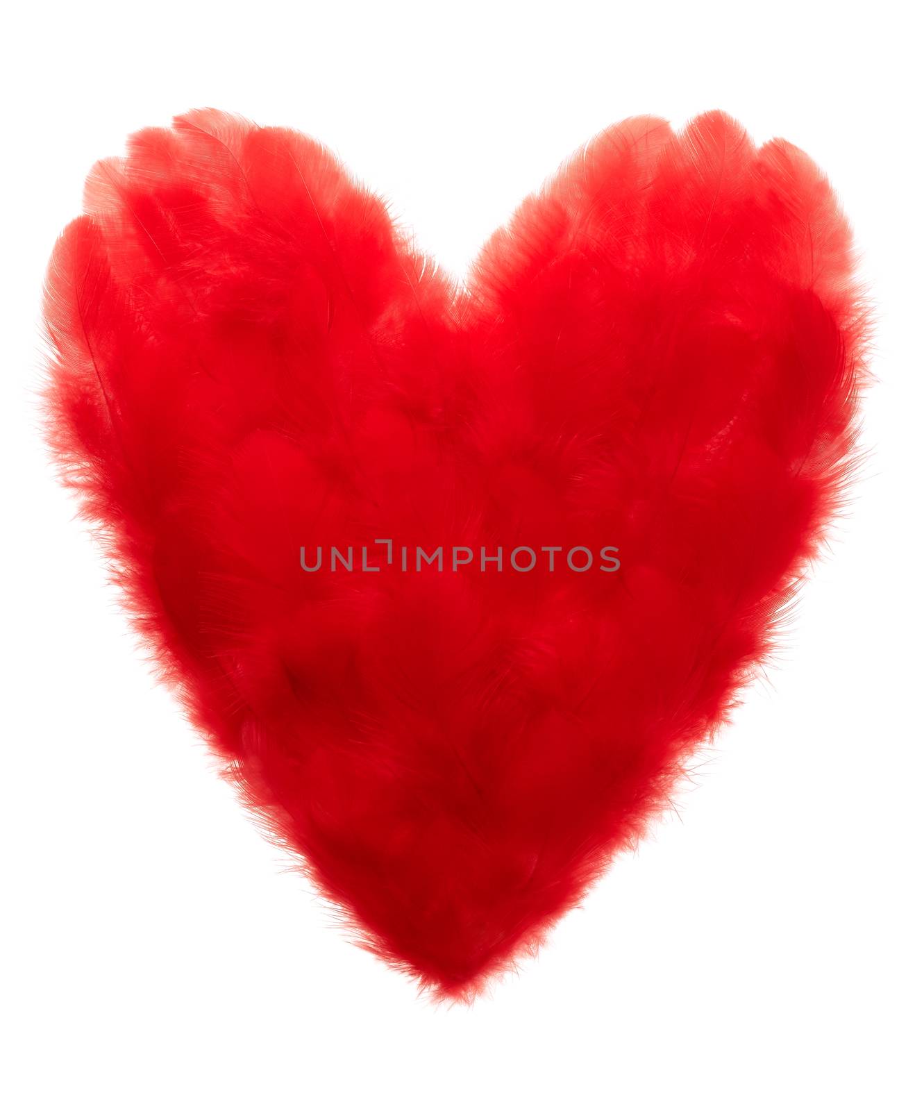 Love, Valentines Day. Heart made of red feathers by 918