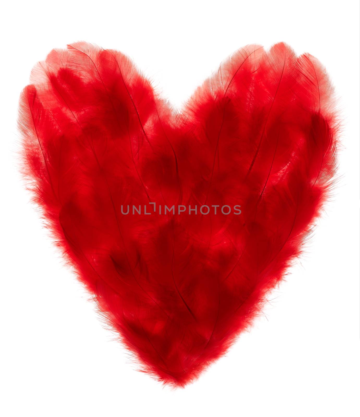 Love, Valentines Day. Heart made of many red feathers. Vintage romantic style isolated on white. Vivid unusual creative greeting card, concept, copyspace