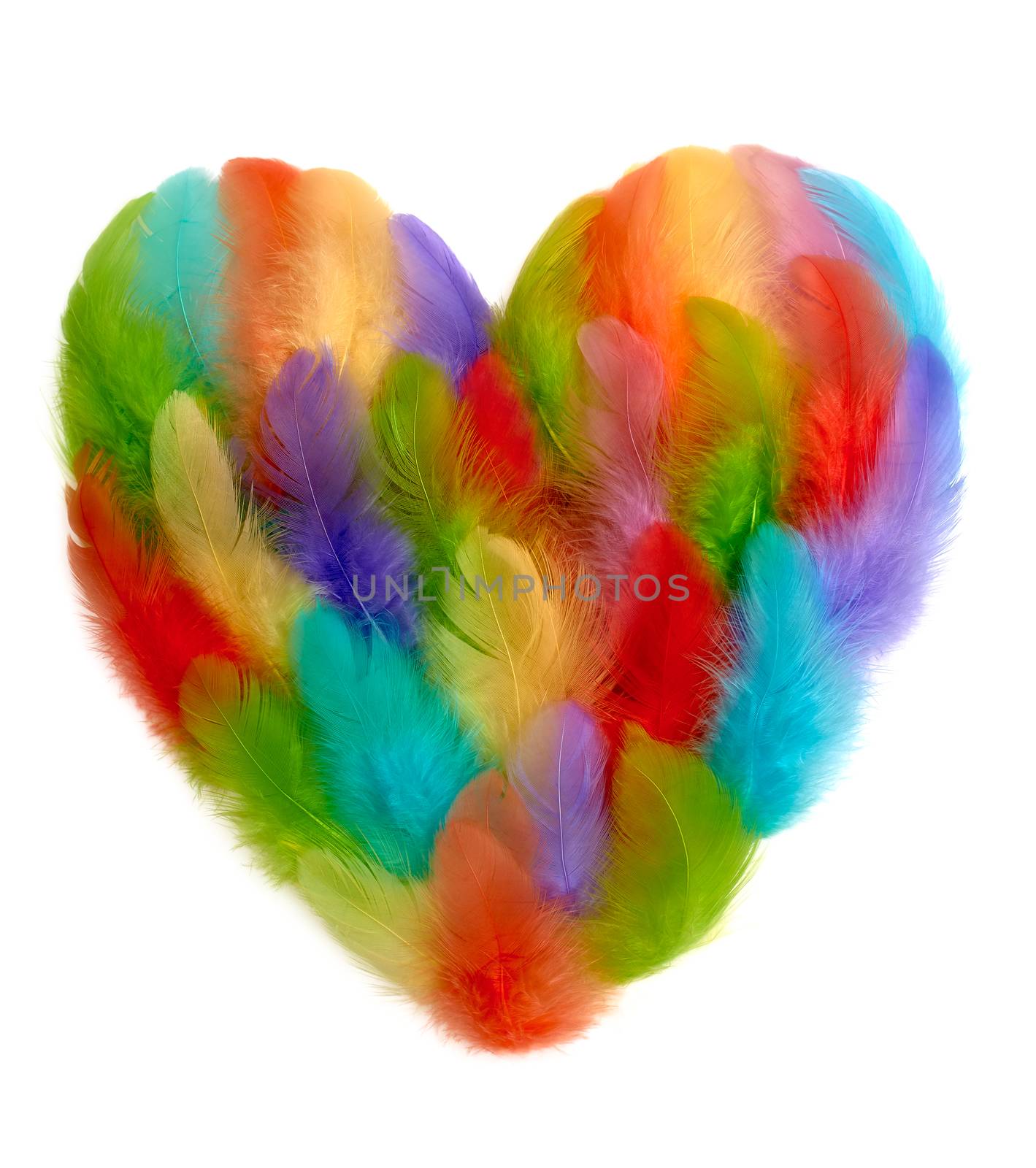 Love, Valentines Day. Heart of colorful feathers  by 918