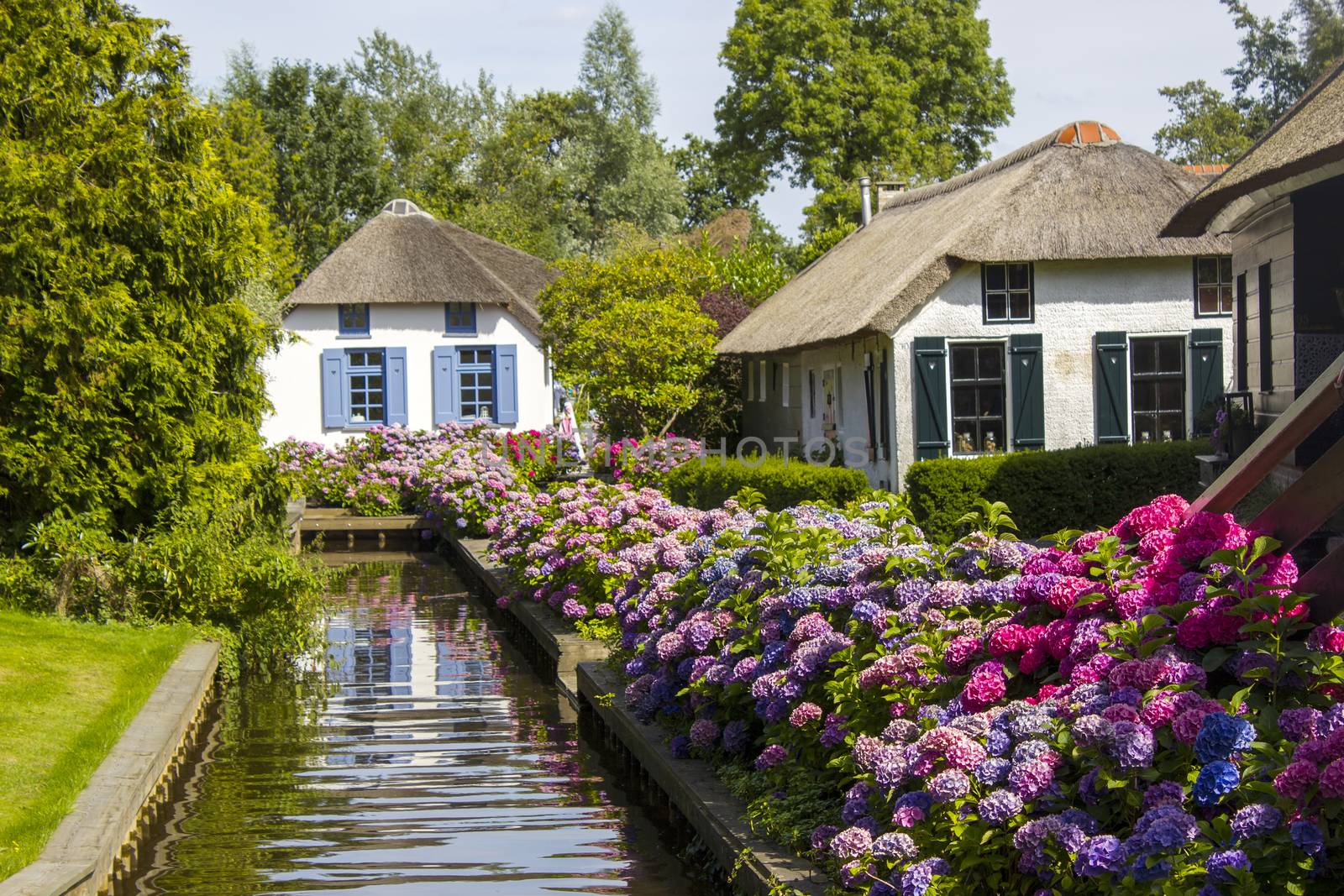 GIETHOORN, NETHERLANDS -typical dutch county side of houses and gardens