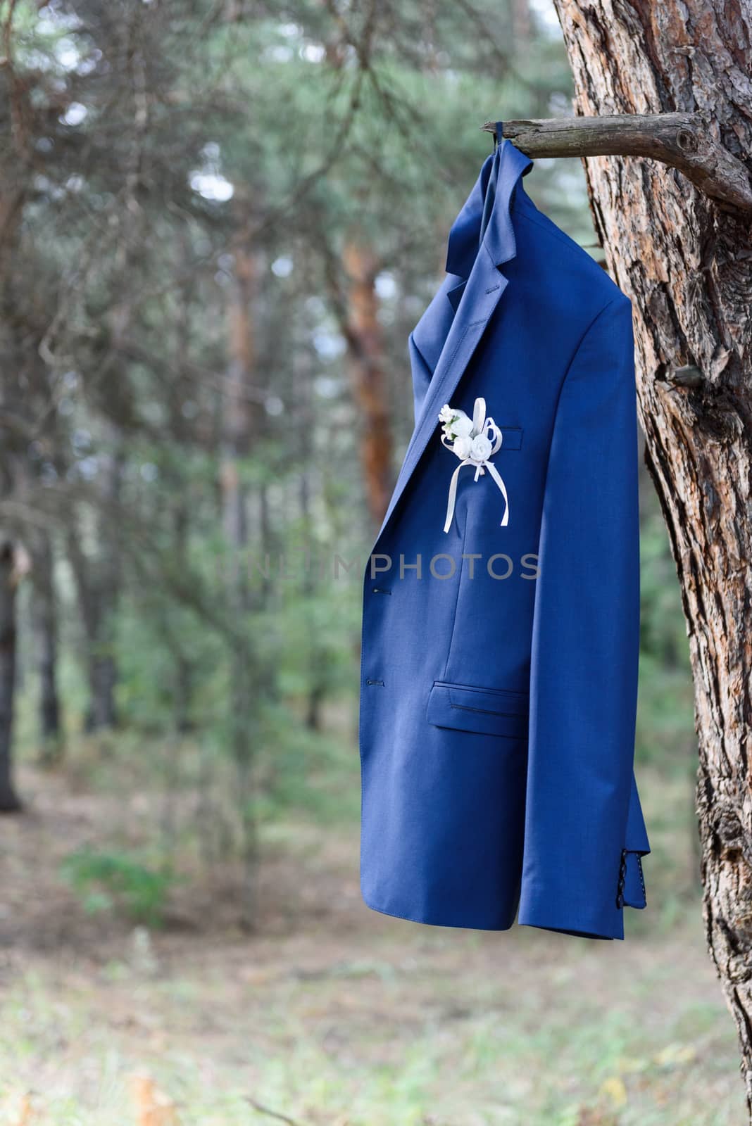 blue jacket of the groom hanging on a tree branch in the forest