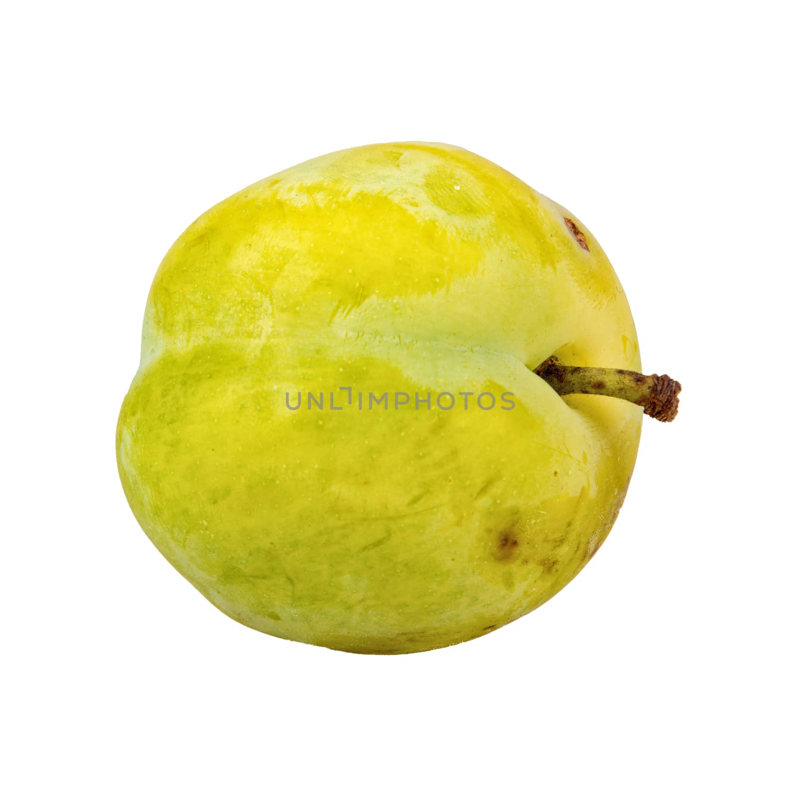 Greenish-yellow plum isolated on a white background