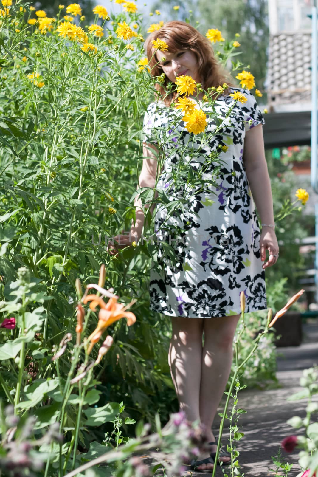 beautiful women surrounded by colorful flowers mallow