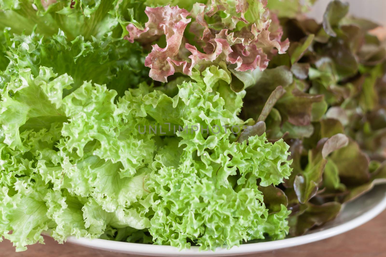 Fresh hydroponic vegetables on wooden table, stock photo