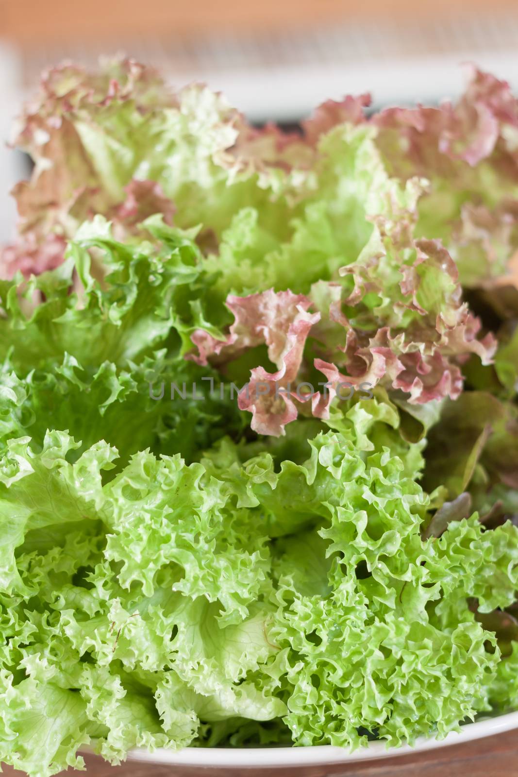 Fresh hydroponic vegetables on wooden table by punsayaporn