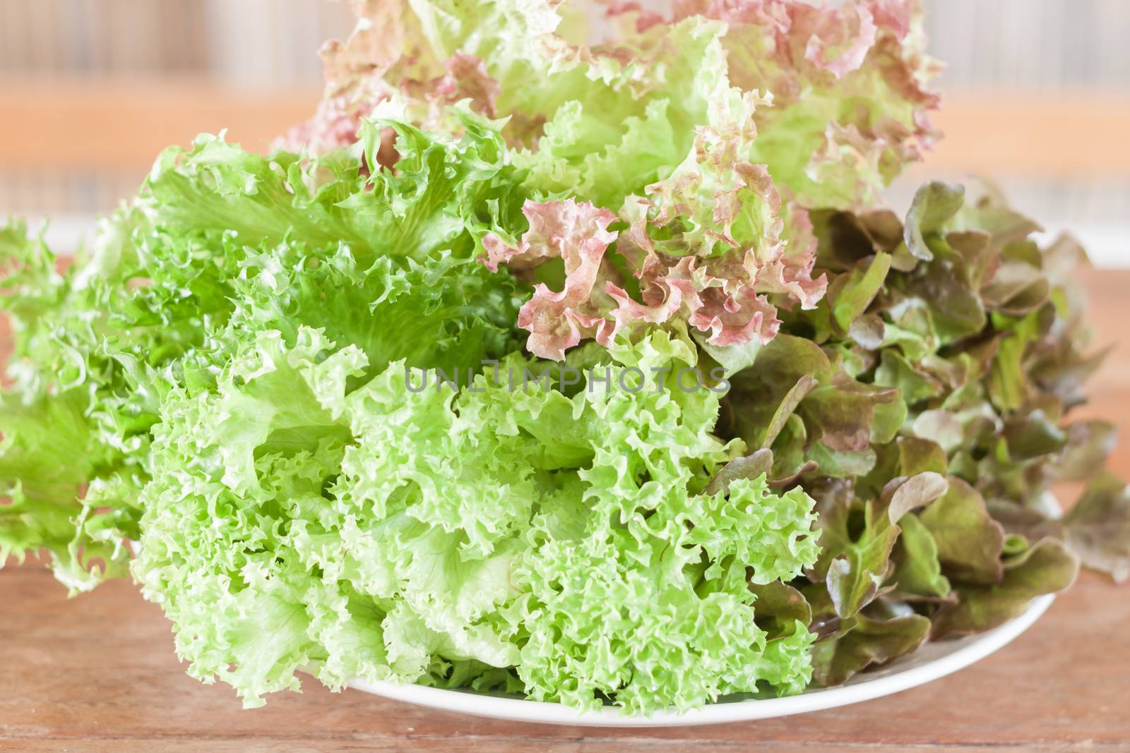 Fresh hydroponic vegetables on wooden table, stock photo
