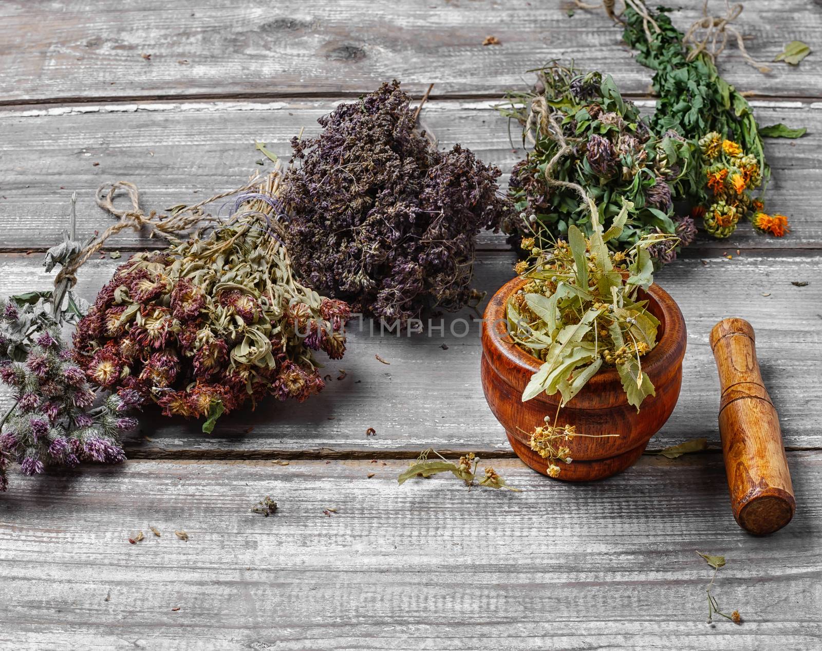 Bunches harvest of medicinal plants-clover,Linden and oregano