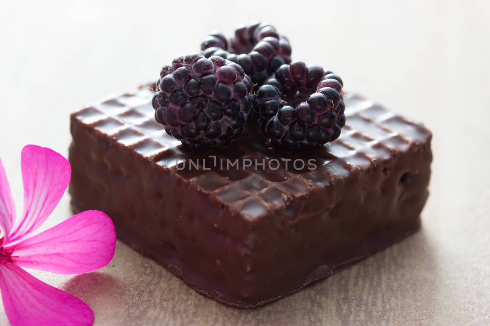 chocolate cake with blackberry on top, flower