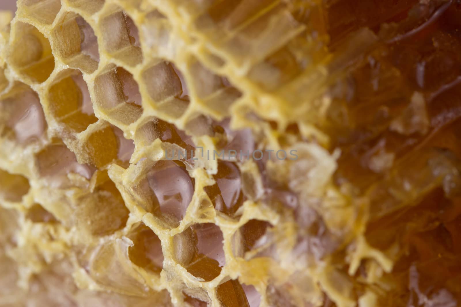 honey comb by liwei12