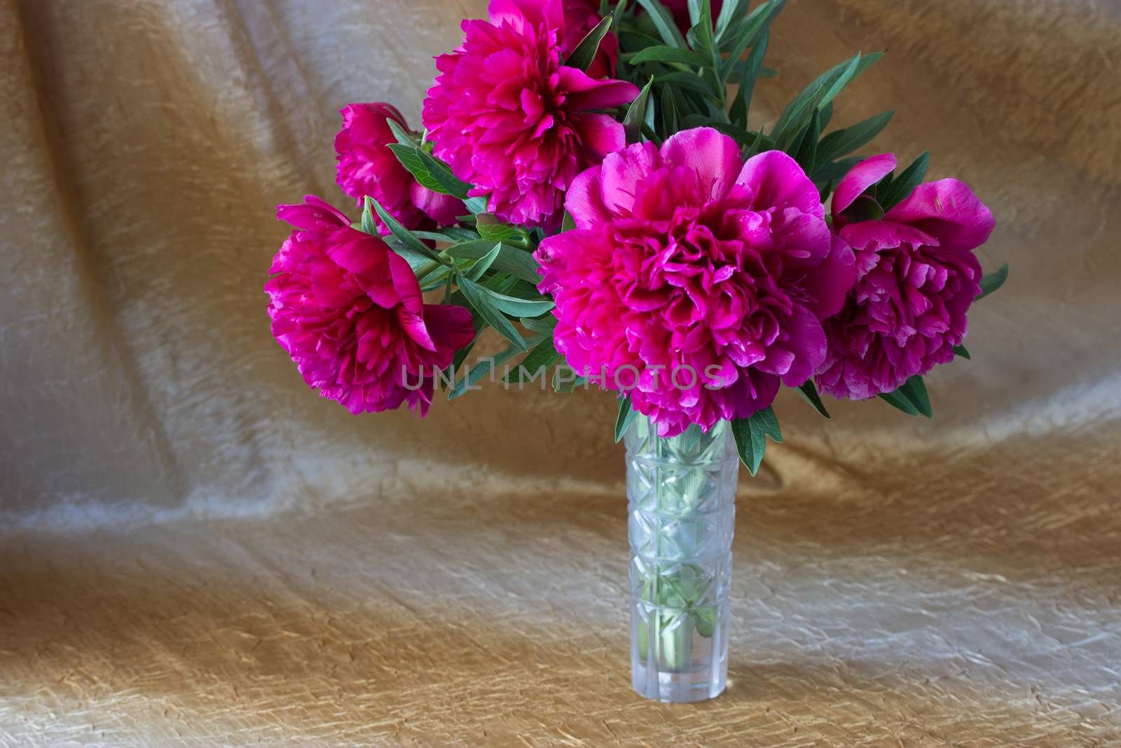 pink flowers in a vase by liwei12