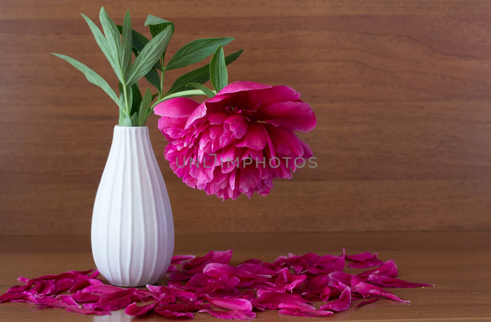 pink flowers in a vase, wooden background