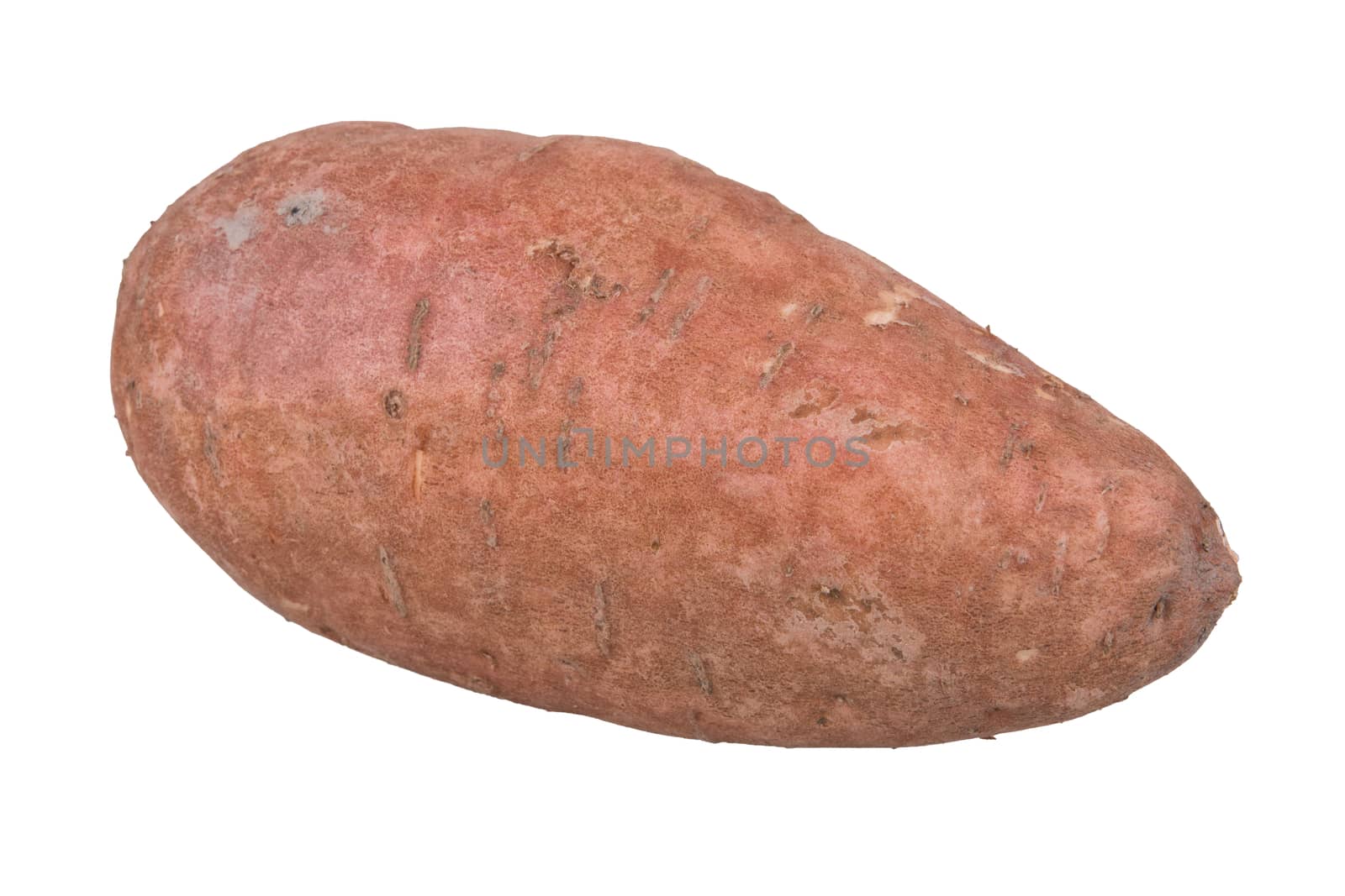 Sweet potatoe isolated on white background