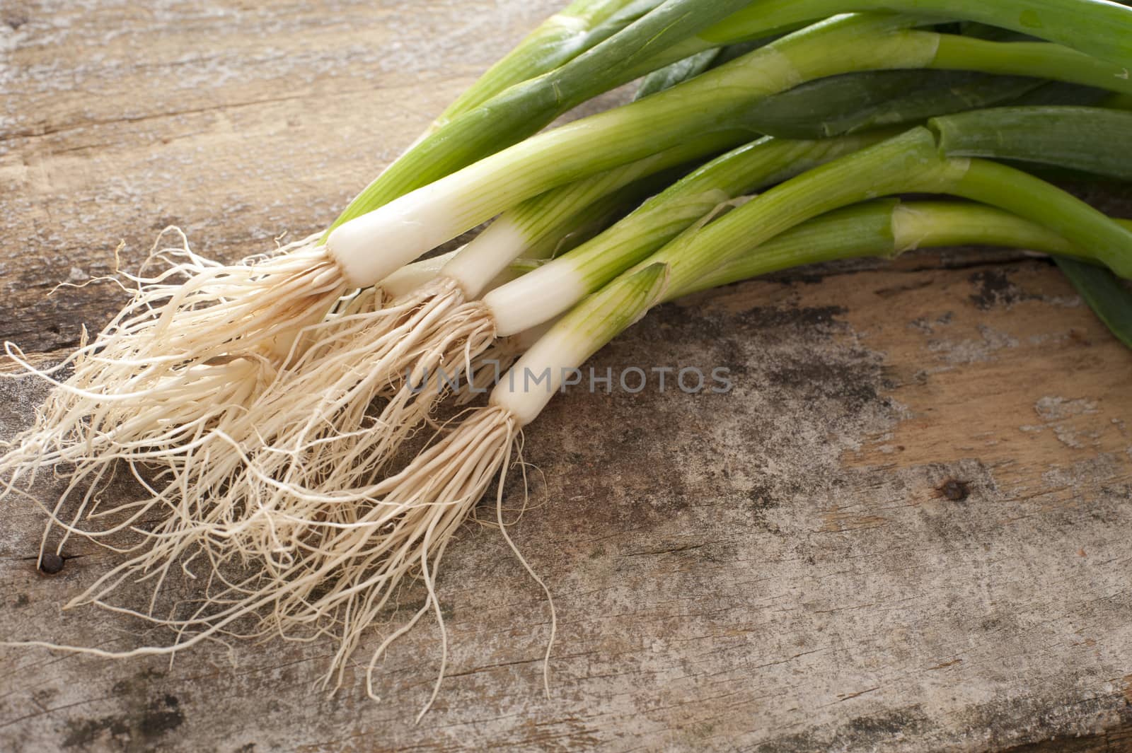 Small bunch of green onions on rustic table by stockarch