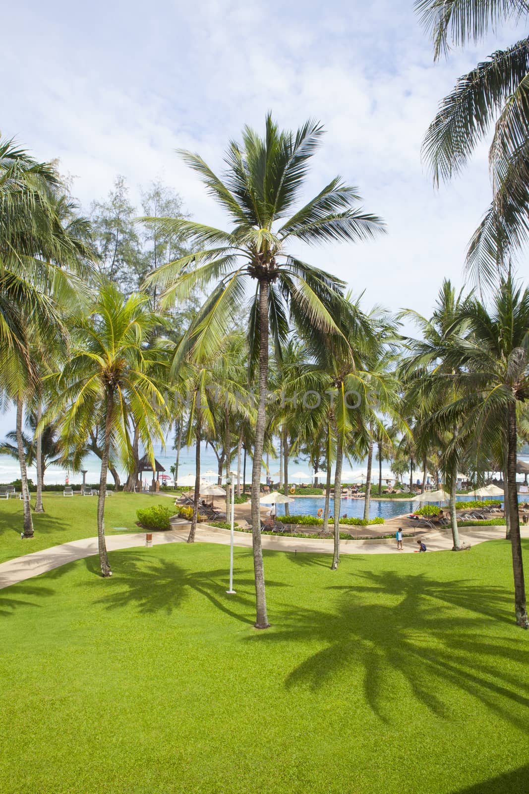 Tropical sea of thailand - Palm Beach Resort and Spa