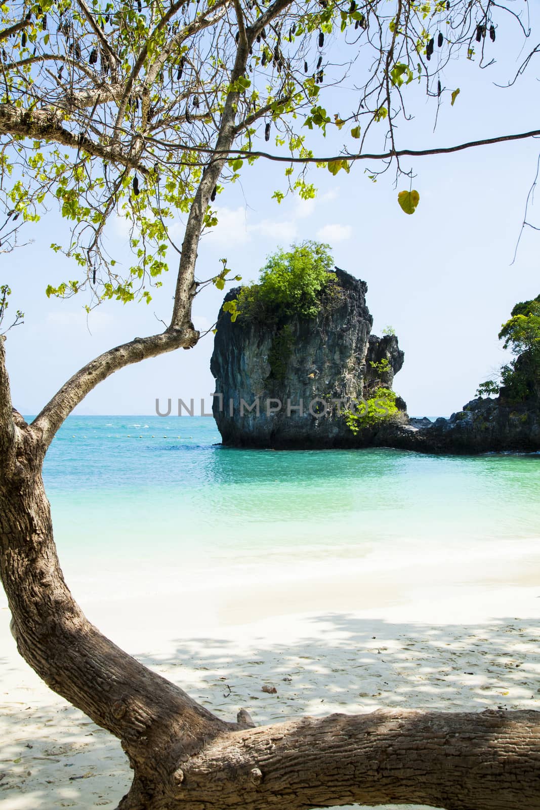 koh lao bi le ( koh hong ) than bok khorani national park krabi thailand.