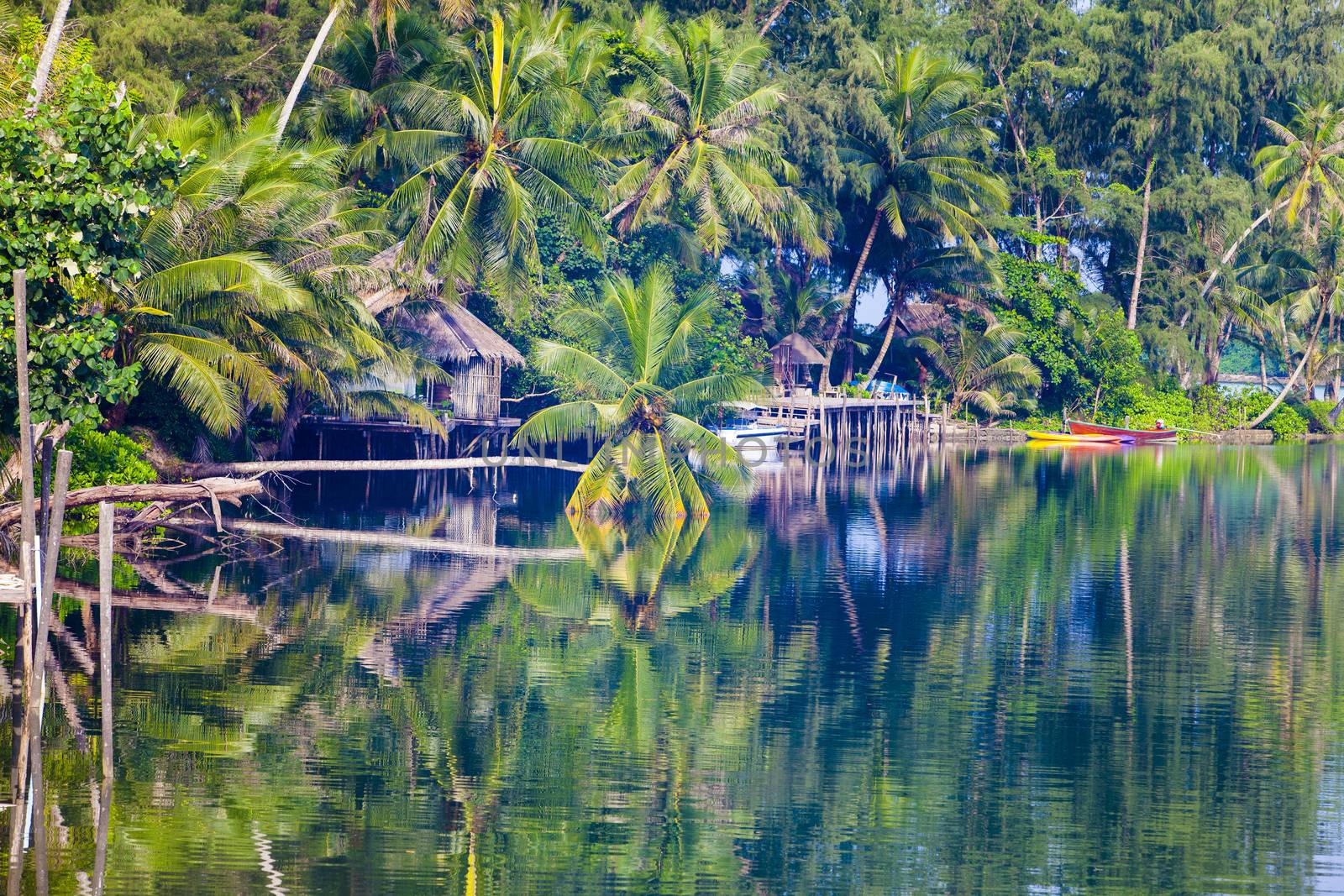 The resort in nature among the coconut trees.