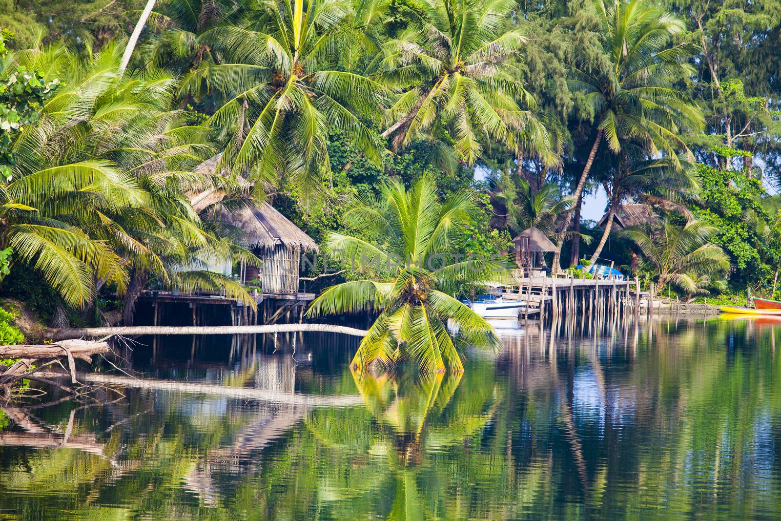 The resort in nature among the coconut trees.