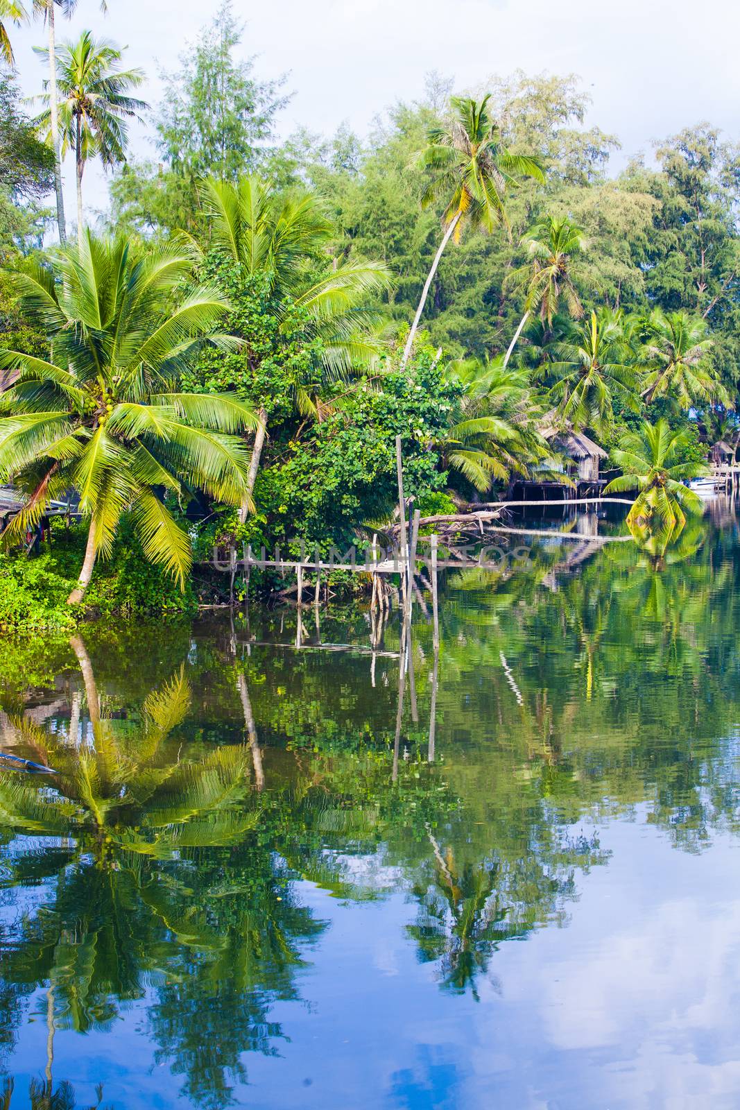 The resort in nature among the coconut trees.