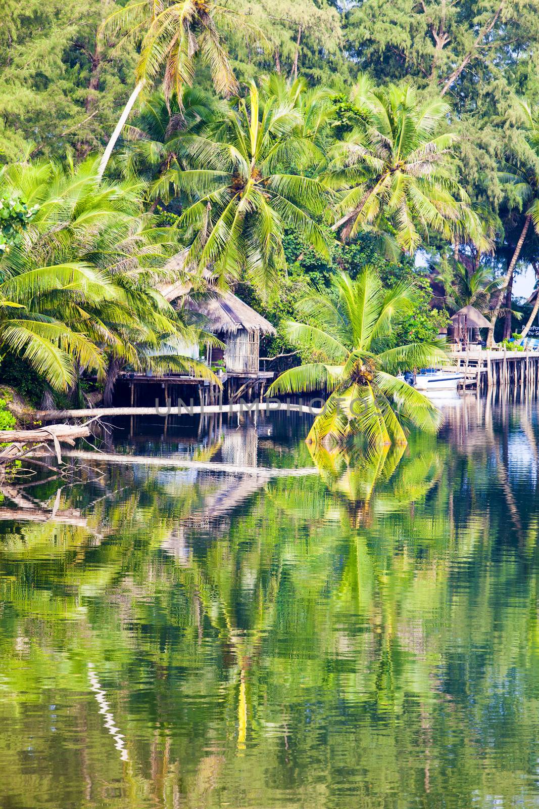 The resort in nature among the coconut trees.