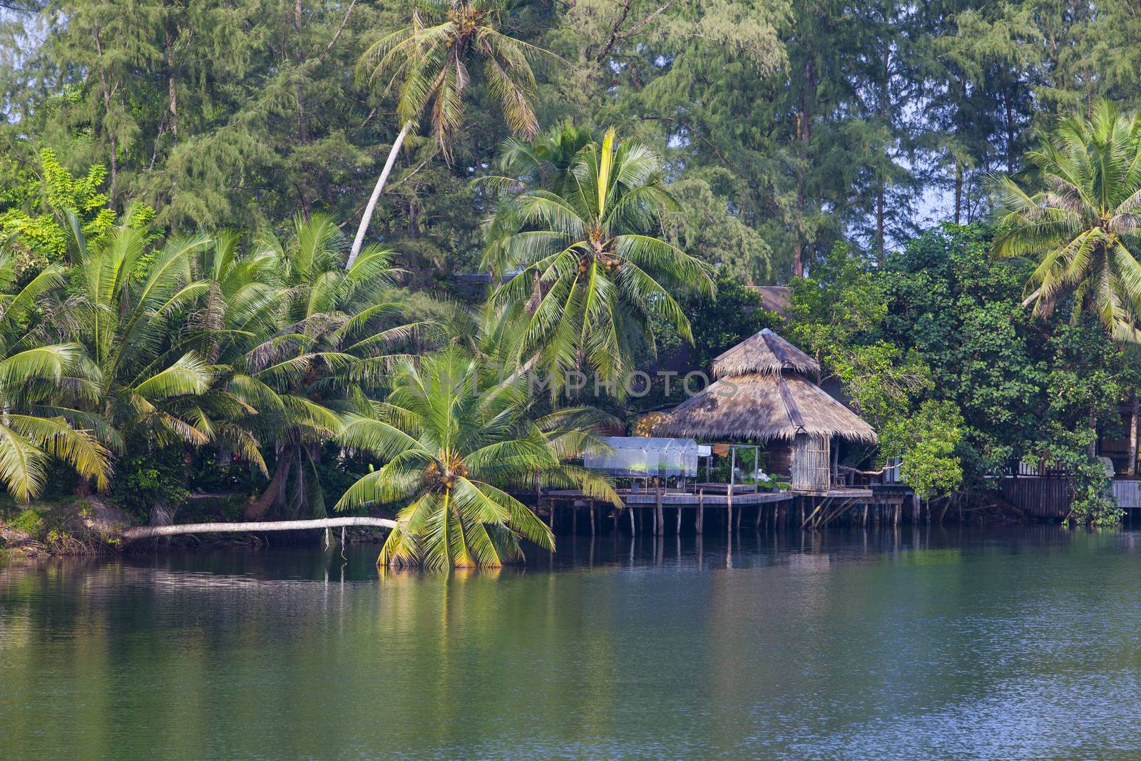Natural beauty by the sea is calm, Koh Kood Thailand.