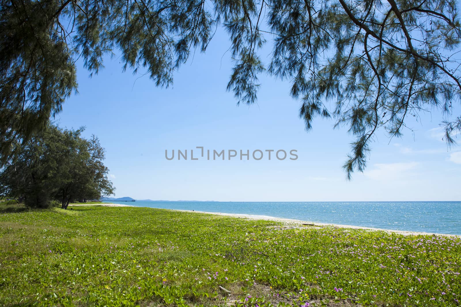 Tropical beach at beautiful ,Mae Ramphueng beach ,Rayong Thailand