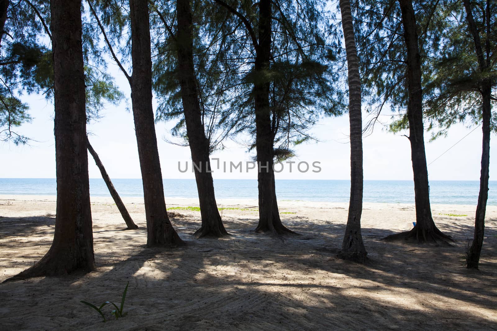 Tropical beach at beautiful ,Mae Ramphueng beach ,Rayong Thailand