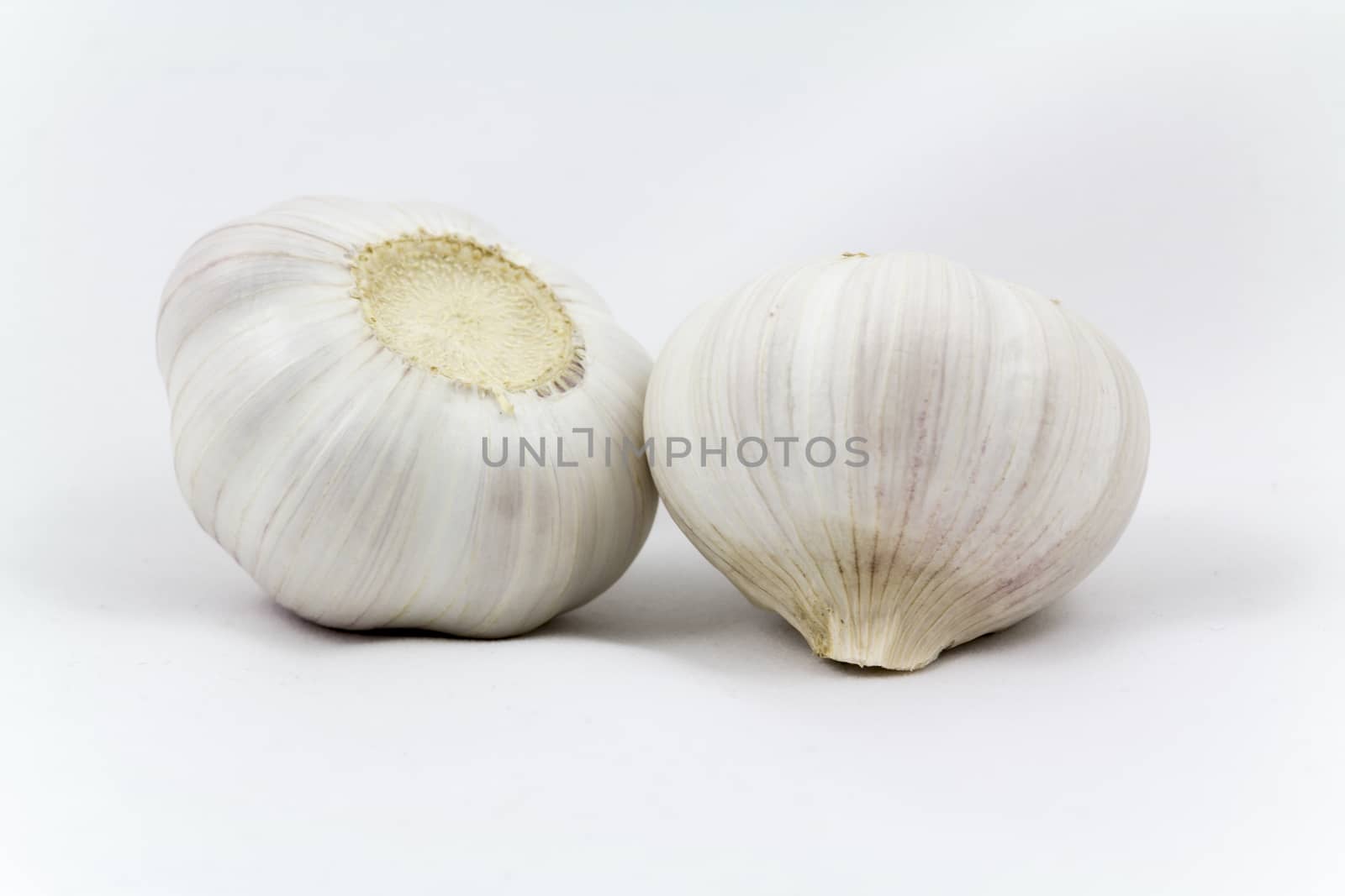 Fresh garlic bulbs close-up lie on a light background