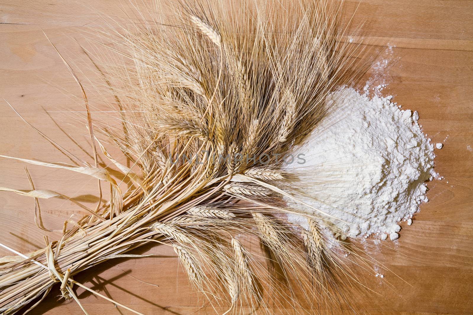 A bundle of ears of corn and flour on a board