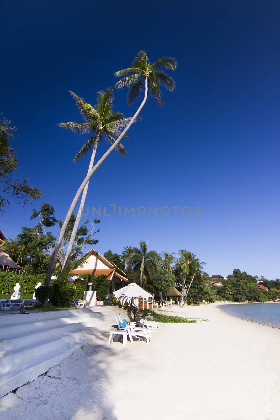 View of Chaweng beach, Koh Samui (Samui Island), Thailand