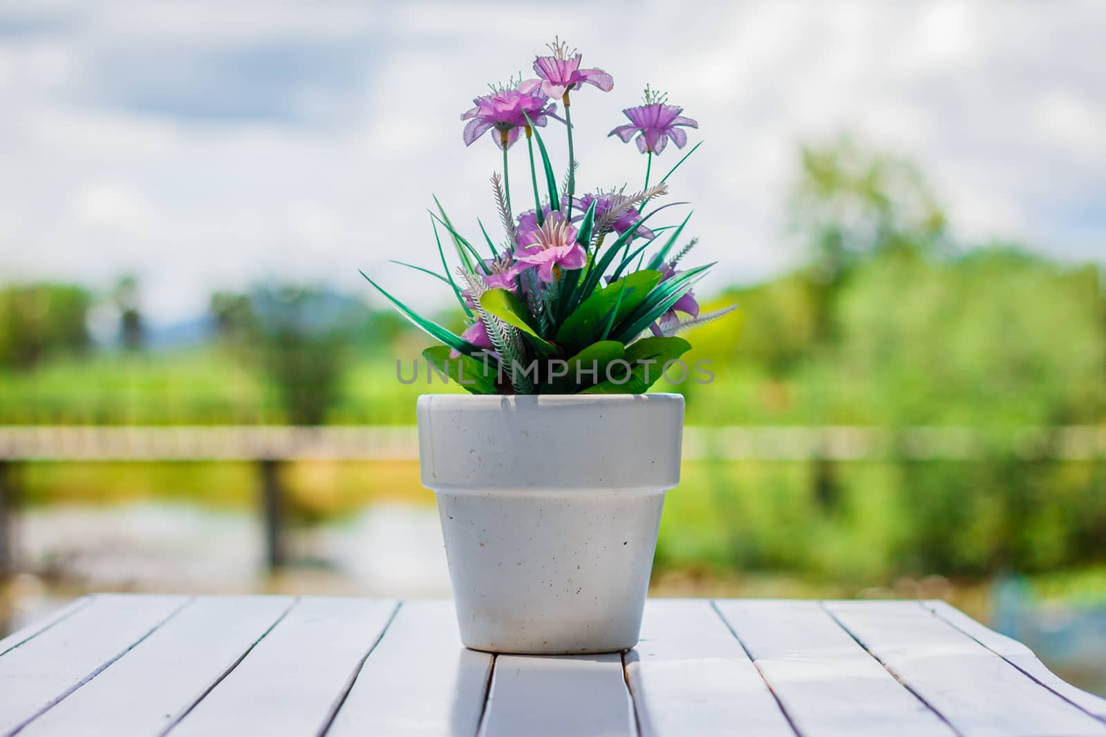 the flower in a flower pot on an white table with background