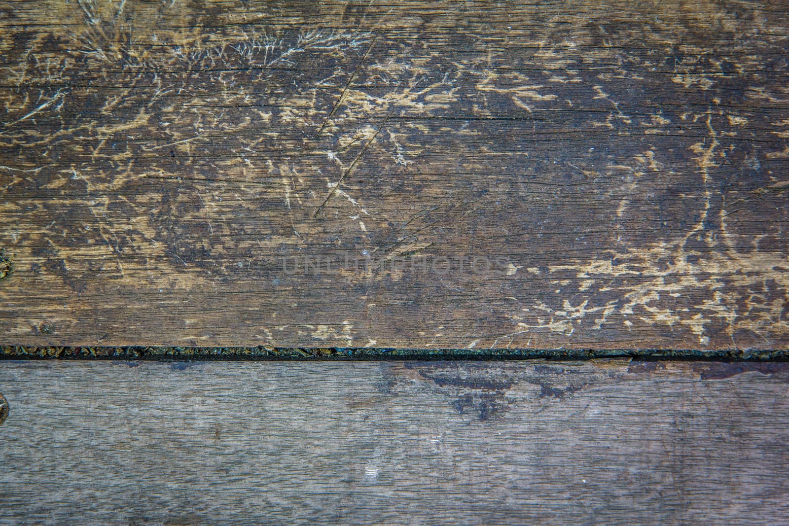 the texture of wood wall