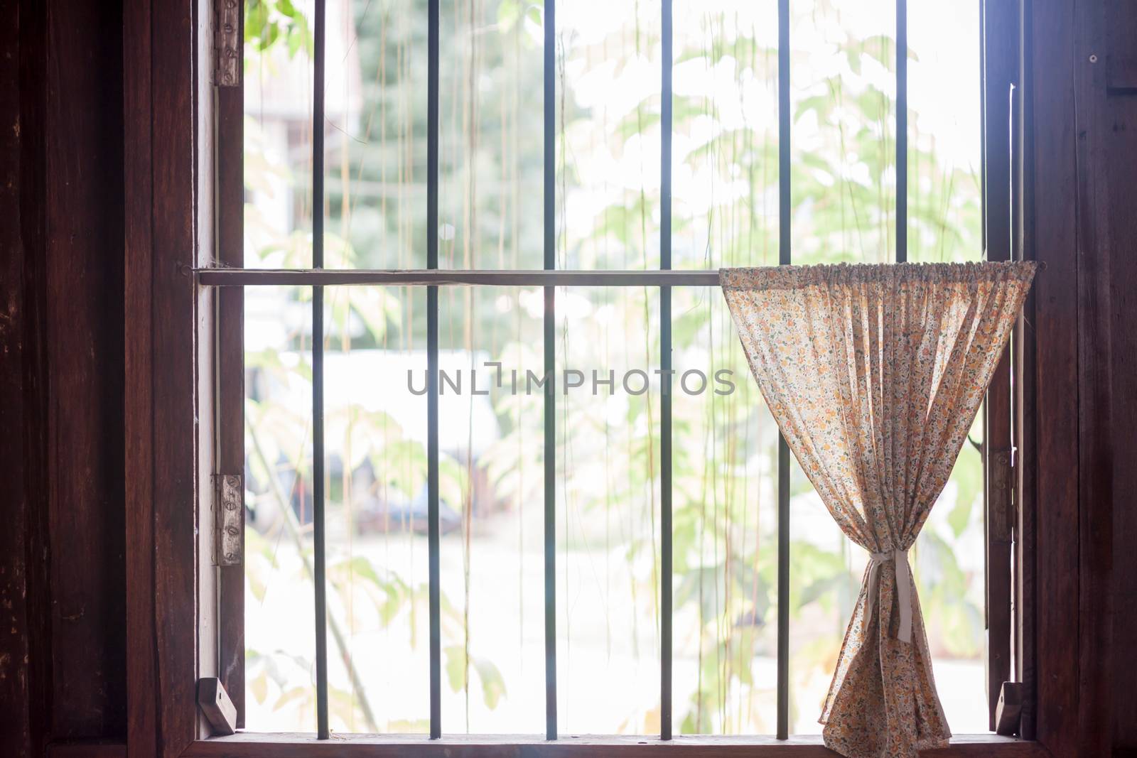 Natural window light in the afternoon, stock photo