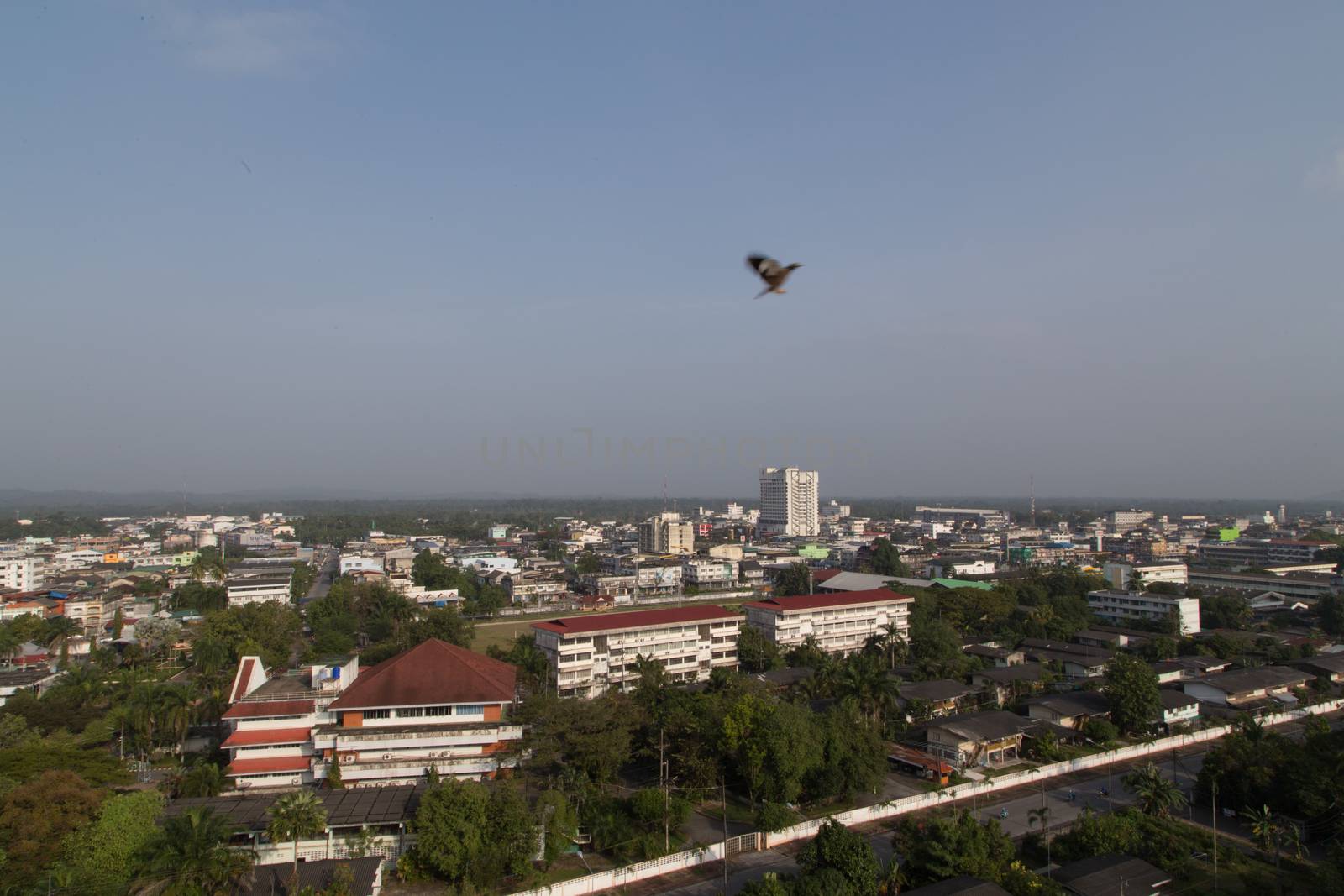 View of Yala Technic College and the city by ngarare