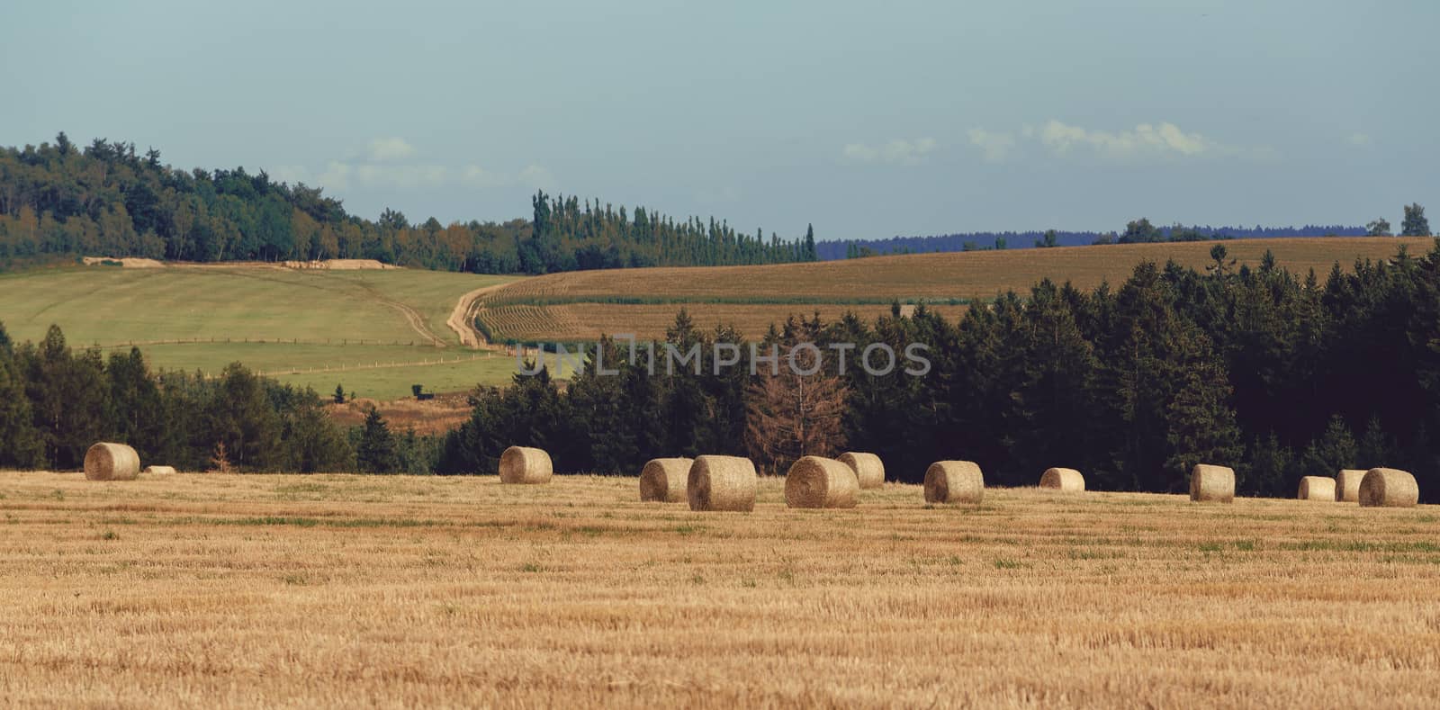 harvested field with straw bales, summer agriculture concept, czech republic