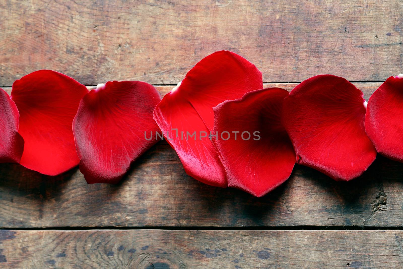 Romance concept. Few red rose petals in a row on wooden background